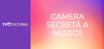 Camera secretă a muzicii