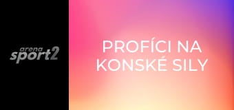 Profíci na konské sily