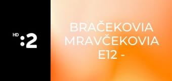 Bračekovia mravčekovia E12 - Krytý bazén