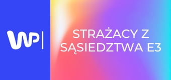 Strażacy z sąsiedztwa E3
