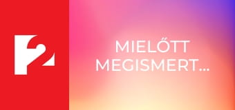 Mielőtt megismertelek