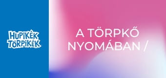 A törpkő nyomában / Törpföldön