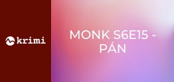 Monk S6E15 - Pán Monk na úteku