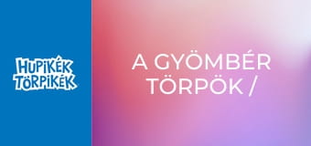 A gyömbér törpök / A kívánság kút