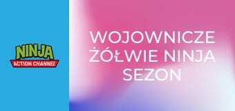 Wojownicze żółwie ninja Sezon 4 Odcinek 22