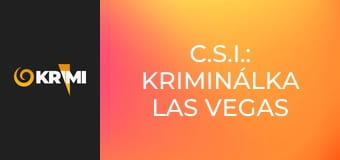 C.S.I.: Kriminálka Las Vegas S4E14 - Papírovou či igelitovou