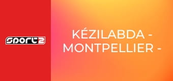 Kézilabda - Montpellier - Flensburg