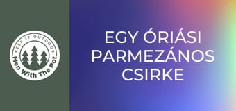 Egy óriási parmezános csirke szendvics