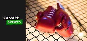 Boks: Gala boksu zawodowego