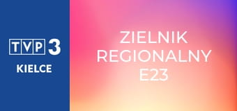 Zielnik regionalny E23