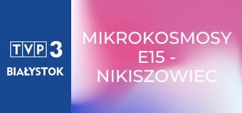 Mikrokosmosy E15 - Nikiszowiec