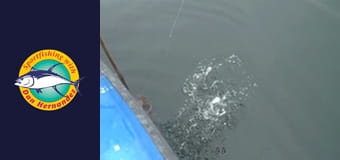 New Huck Finn, part 1