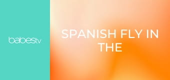 Spanish Fly in the bedroom E1326