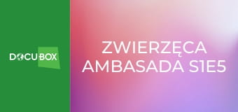 Zwierzęca ambasada S1E5