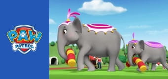 Patrula căţeluşilor Sezonul 1 Episodul 7