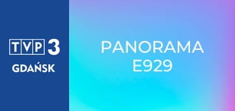 Panorama E929