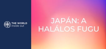 Japán: a halálos fugu gömbhal és a robotok városa.