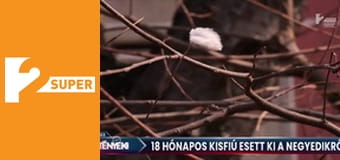 STV2 Tények este  E57 - Episode 57