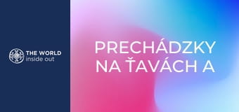 Prechádzky na ťavách a zápasy kobra vs. mangusta. Pakistan. Prechádzky na ťavách a zápasy kobra vs. mangusta. Pakistan.