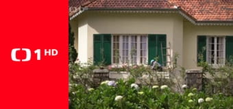 Z metropoly, Týždeň v regiónoch