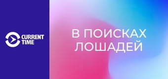 Реальное кино. Д/ф "В поисках лошадей".