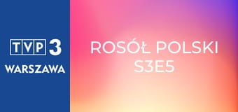 Rosół polski S3E5