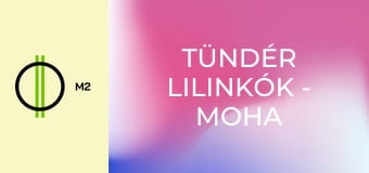 Tündér lilinkók - Moha és Hápsáp