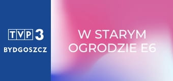 W starym ogrodzie E6