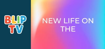 New life on the Nile New life on the Nile