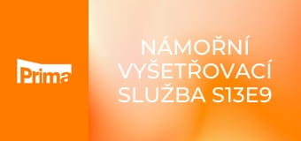 Námořní vyšetřovací služba S13E9 - Den u soudu