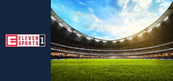 Piłka nożna: Ligue 1 McDonald's