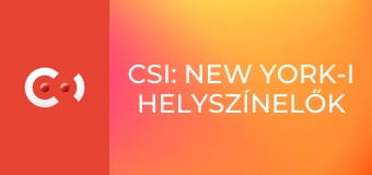 CSI: New York-i helyszínelők S9E9 - Küldetésben