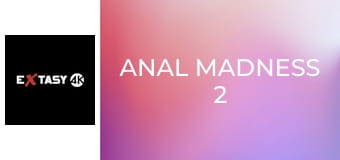 Anal Madness 2