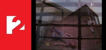 Walker, a texasi kopó S6E18 - Nincs kiút