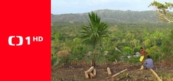 Na ceste po Dariéne