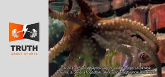 The 2016 European Championships