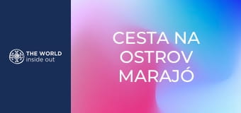 Cesta na ostrov Marajó a lov mangrovových krabov. Brazília. Cesta na ostrov Marajó a lov mangrovových krabov. Brazília.