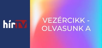 Vezércikk - Olvasunk a sorok között