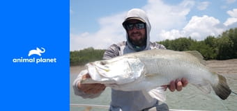 Rybolov nebo smrt S1E1 - Vítejte v džungli Rybolov nebo smrt S1E1 - Vítejte v džungli