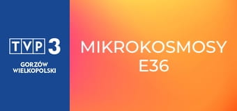 Mikrokosmosy E36