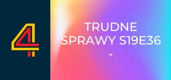 Trudne sprawy S19E36 - Szukam żony jak szalony