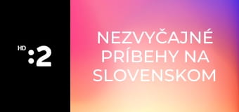 Nezvyčajné príbehy na slovenskom sídlisku E7 - Beverly Hills 01863