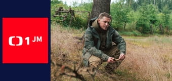 Zpátky do přírody - Soutok Moravy a Dyje