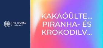 Kakaóültetvények, piranha- és krokodilvadászat. Bolívia.