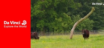 Do You Know? - Maddie The Zoo and You - How do We Stay Comfortable?