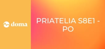 Priatelia S8E1 - Po svadbe