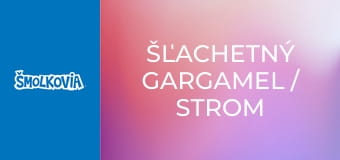 Šľachetný Gargamel / Strom Na Peniaze