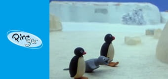 Pingu Sezon 1 Odcinek 11
