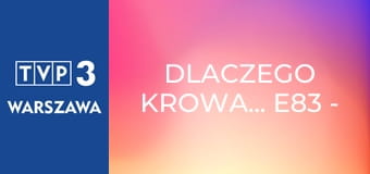 Dlaczego krowa... E83 - Dziki