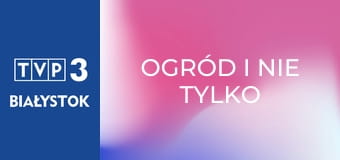 Ogród i nie tylko E164